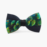 Brackish Fairbanks Bow Tie