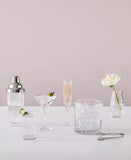 Waterford Vector Cocktail Shaker