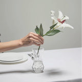 Waterford Giftology Lismore Bon Bon Vase