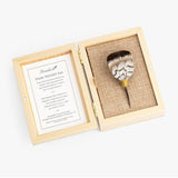 Brackish Kemmerer Pin