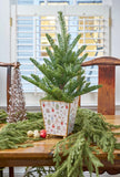 Jaye’s Studio Nutcracker Cachepot