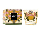 Nest New York Decorative Grapefruit 3 Wick Candle