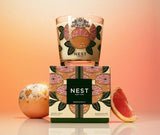Nest New York Decorative Grapefruit 3 Wick Candle
