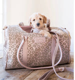 Hollis Leash & Collar Set