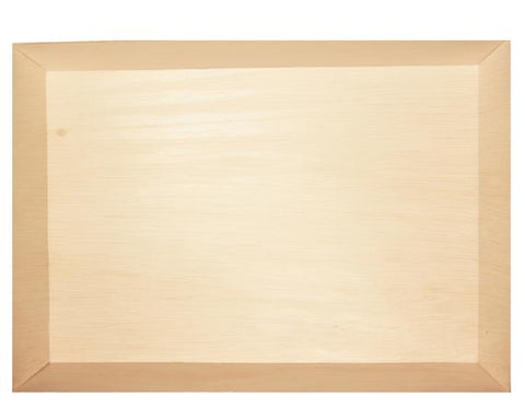 Large Disposable Tray