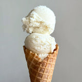 True Scoops Vanilla Bean Blender Ice Cream Mix